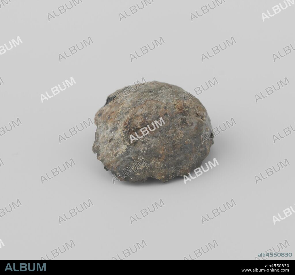 Nutmeg from the wreck of the East Indies boatman 't Vliegend Hart, The half-brown nutmeg was found in a chunk of concrete, Dutch East India Company ' t Vliegend Hart (ship), 1700 - 1735, organic material, h 1.1 cm × d 2.1 cm.