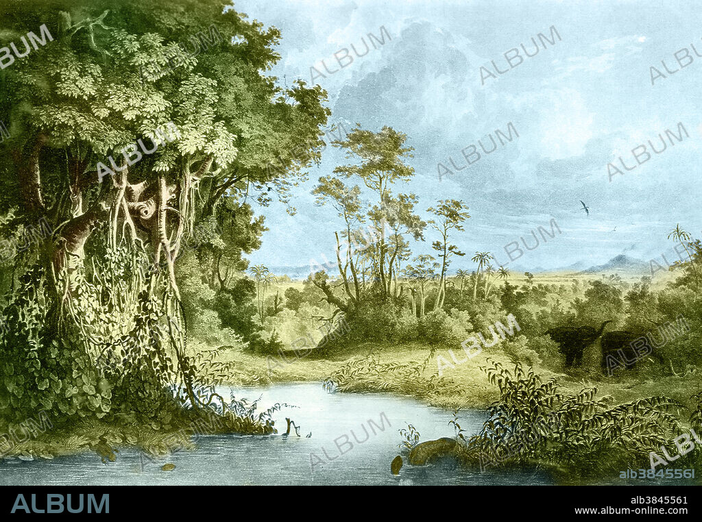 Colour enhanced illustration of a Miocene landscape. The Miocene epoch preceded the Pliocene and dated to between 25 million and 5 million years ago. The earth went from the Oligocene Epoch through the Miocene and into the Pliocene as it cooled into a series of Ice Ages. The Miocene boundaries are not marked by a single distinct global event but consist rather of regional boundaries between the warmer Oligocene and the cooler Pliocene. The plants and animals of the Miocene were fairly modern. Mammals and birds were well-established. Whales, seals, and kelp spread. It was during the late Miocene that the earliest hominid species begin to appear in the fossil record. Illustration originally captioned: Miocene landscape by Franz Unger, 1916. This image has been colour enhanced.