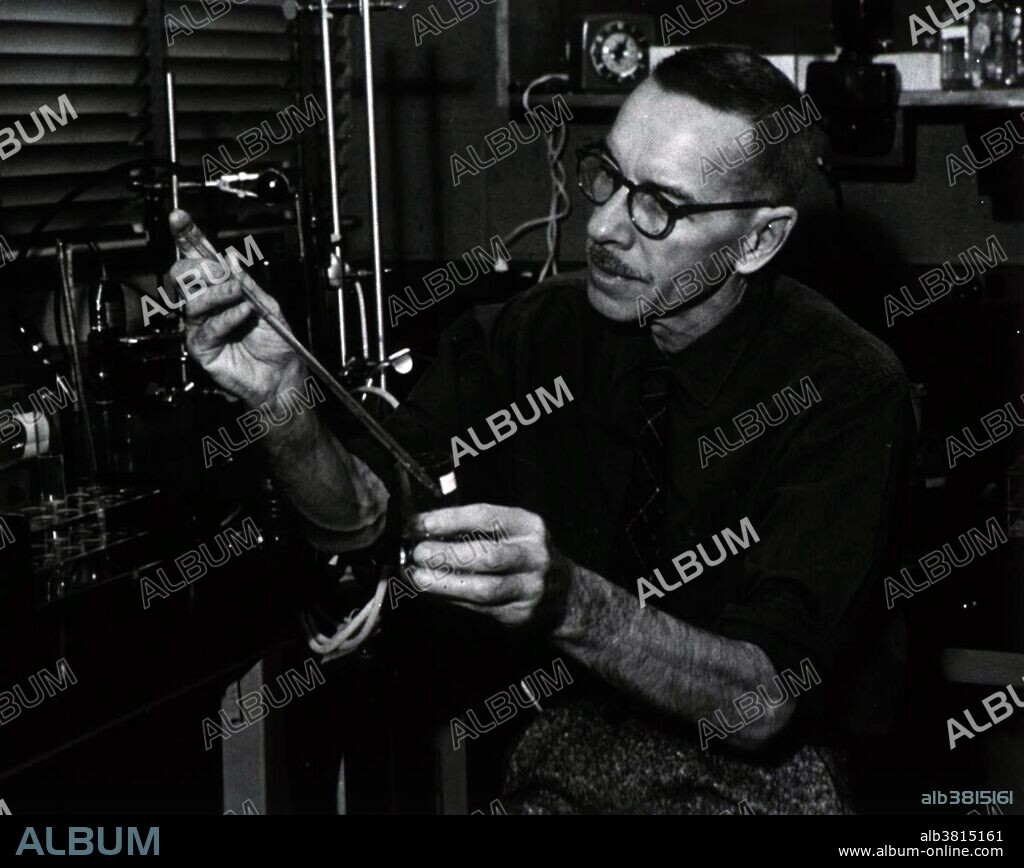 Alfred Day Hershey (1908-1997) was an American Nobel Prize-winning bacteriologist and geneticist. He began performing experiments with bacteriophages with Italian-American Salvador Luria and German Max Delbruck in 1940, and observed that when two different strains of bacteriophage have infected the same bacteria, the two viruses may exchange genetic information. All were awards the Nobel Prize in Physiology or Medicine in 1969 for their discovery on the replication of viruses and their genetic structure.