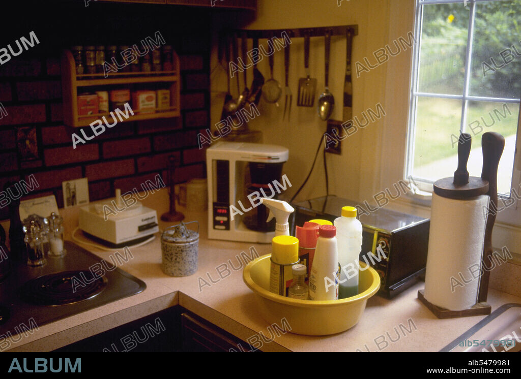 May 6, 1996 - Kitchen counter with cleaning supplies in a bucket.