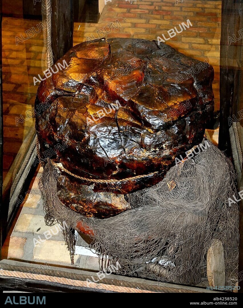 Big amber stone, weight 236 kilo, found in the south Baltic Sea, Bärnstensmuséet, Amber Museum, Kämpinge, Scania, Sweden