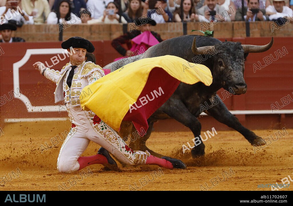 Seville, 04/21/2024. Real Maestranza. Miura bulls for Manuel Escribano. Photo: Raúl Doblado. Archsev.