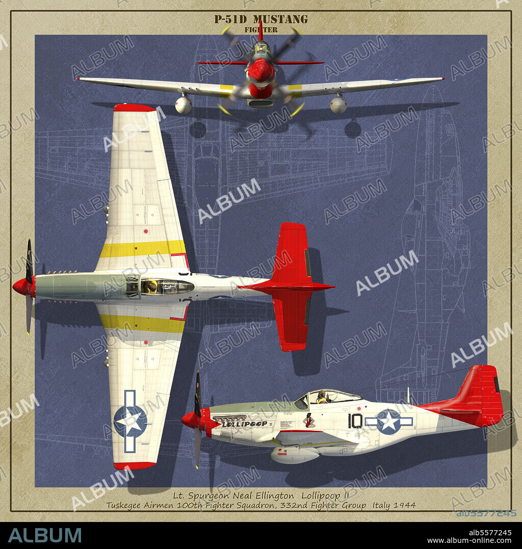 P-51D Mustang fighter plane of World War II.