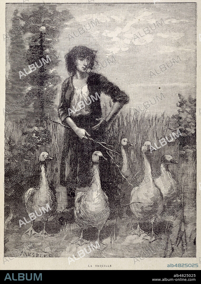 'La trouille' : femme avec des oies. Illustration de 'La terre' de ZOLA (1840-1902), edition de 1906. Credit : Collection KHARBINE-TAPABOR.