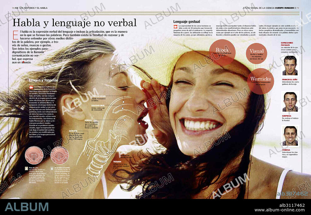 Habla y lenguaje no verbal. Expone las formas de comunicación corporales mediante el habla y el lenguaje no verbal. Describe el mecanismo del habla e ilustra el lenguaje gestual con diferentes expresiones faciales.