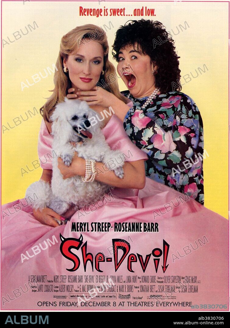 Poster of SHE-DEVIL, 1989, directed by SUSAN SEIDELMAN. Copyright ORION PICTURES.