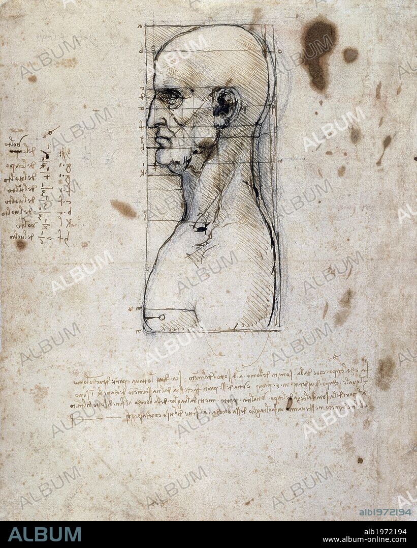 Proportions of the face, by Leonardo da Vinci (1452-1519), drawing.