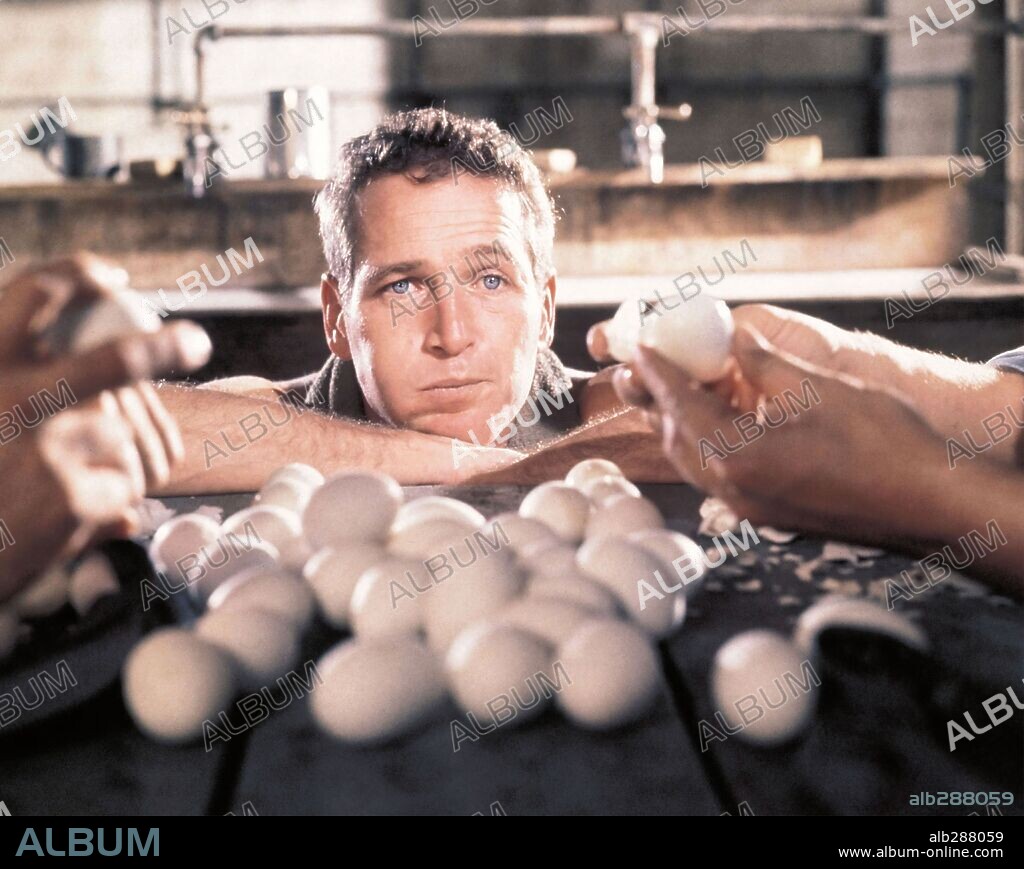 PAUL NEWMAN en LA LEYENDA DEL INDOMABLE, 1967 (COOL HAND LUKE), dirigida por STUART ROSENBERG. Copyright WARNER BROTHERS.