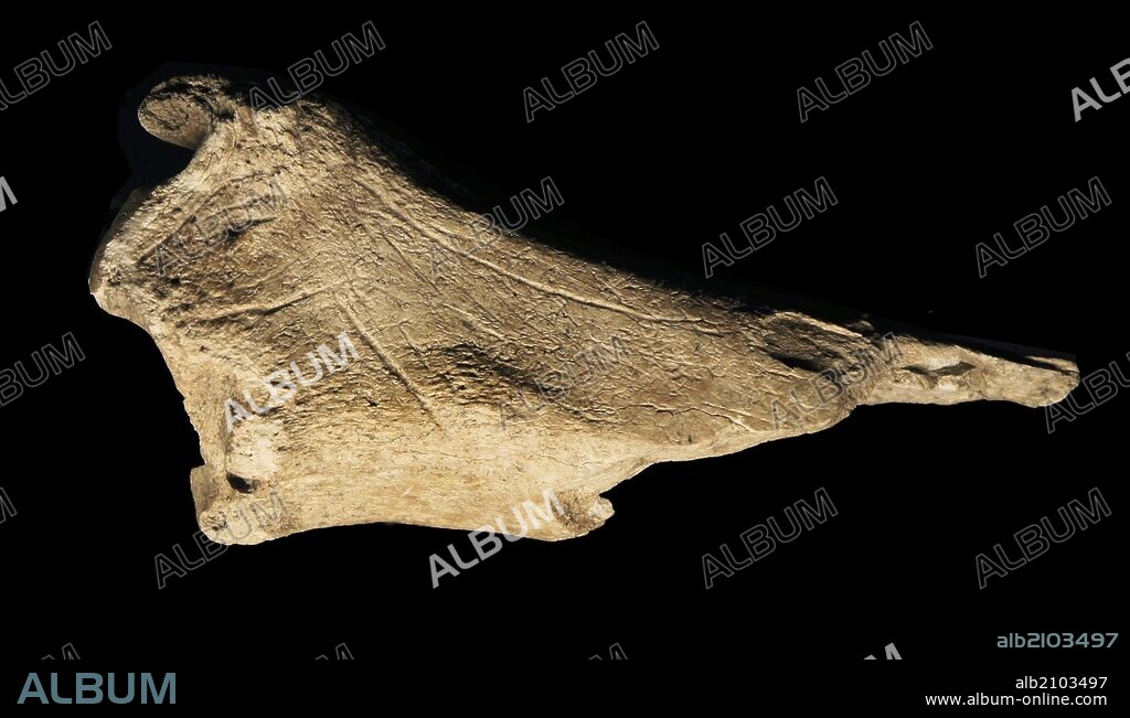 PIEZAS DE LA EXPOSICION "ARTE SIN ARTISTAS": FRAGMENTO DE TIBIA DE CIERVO GRABADA CON TRES CABEZAS DE CIERVA, DE LA CUEVA DE LA GÜELGA, CANGAS DE ONIS (ASTURIAS). GRABADO SOBRE HUESO. MAGDALENIENSE.