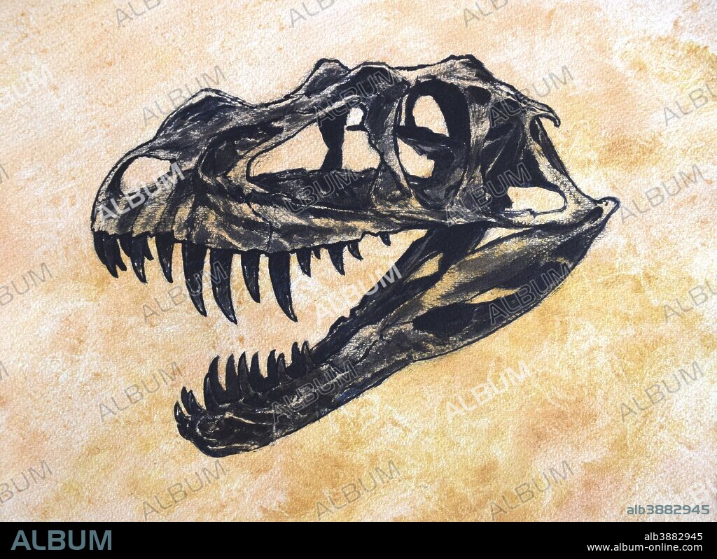 Ceratosaurus dinosaur skull on textured background.