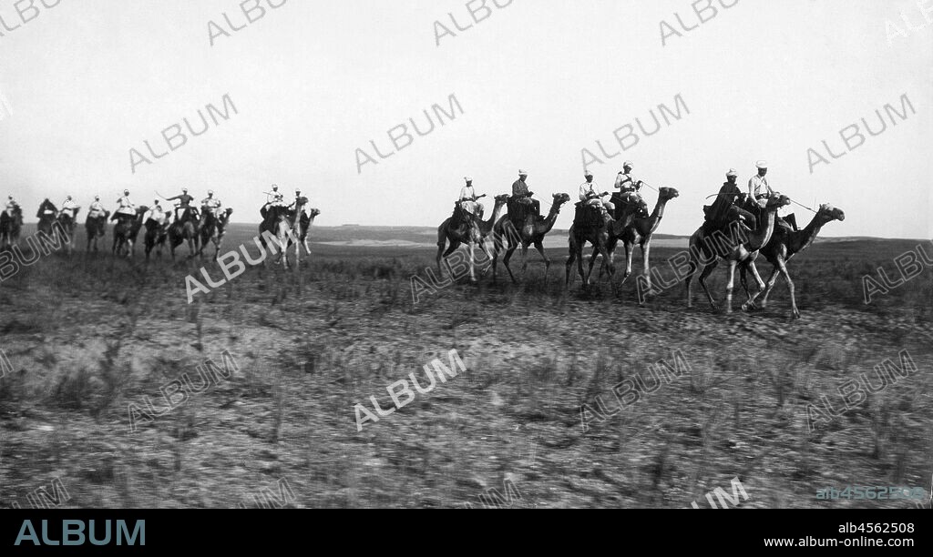 Africa, eritrea, team of camel drivers Ascari, 1920.