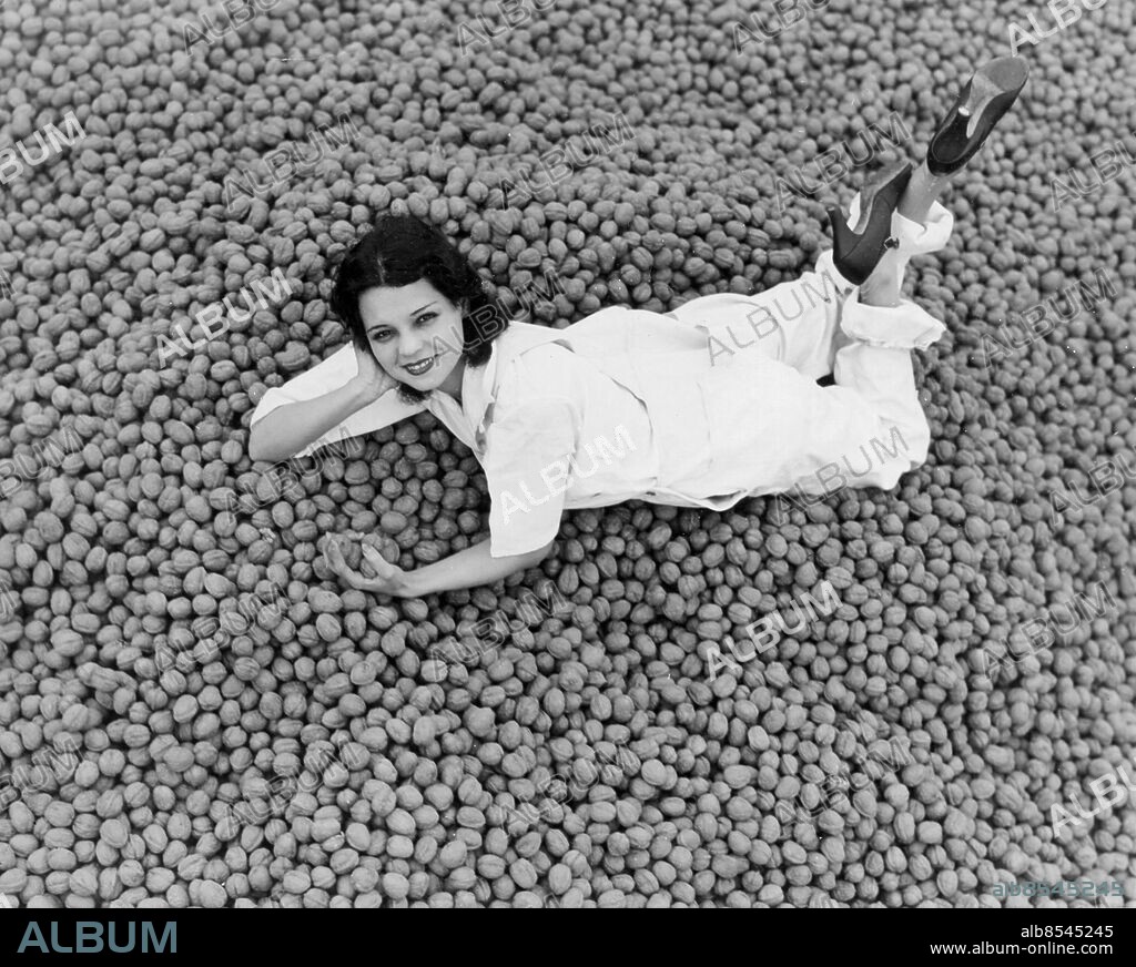 Orig. bildtext... IT'S NUTTING LIKE THIS IN CALIFORNIA. Los Angeles, Calif. Miss Armida Vendrell, pretty descendent of the Dons of old Soanish days, was selected by the Southern California Walnut Growers' Association to be the smiling announcer of the fact that their huge ten million dollar walnut crop is harvested and will soon be on the way to all parts of the country in time for the holidays. Anm. Posering CD657 persons: ARMIDA VENDRELL sites: LOS ANGELES;USA.