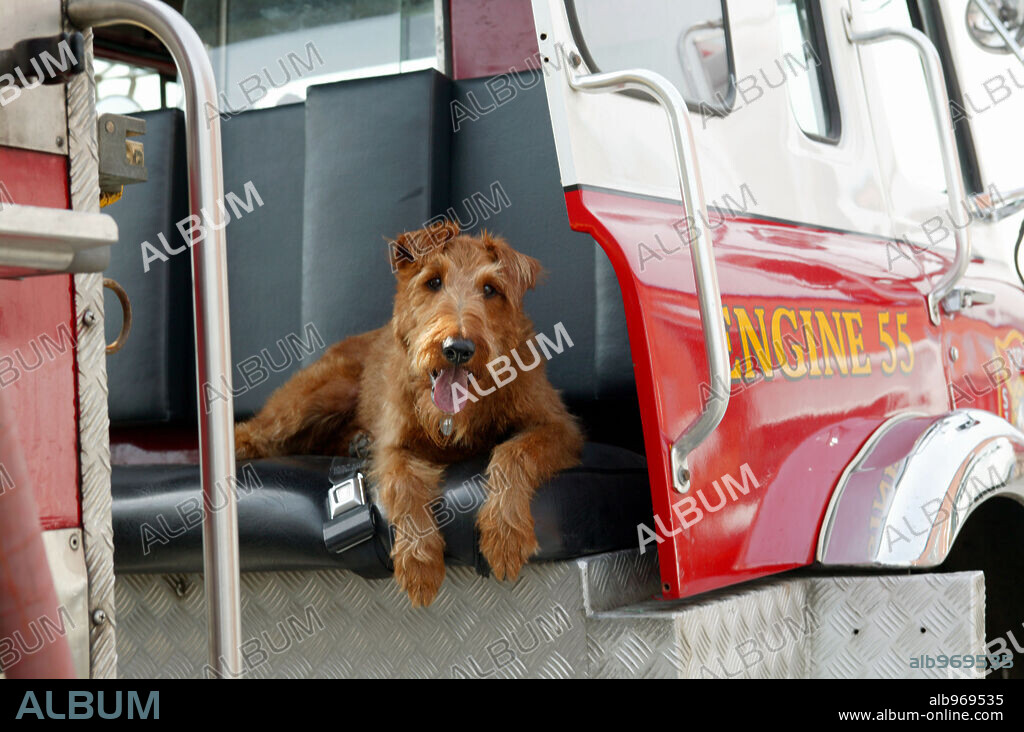 FIREHOUSE DOG, 2007, directed by TODD HOLLAND. Copyright New Regency Pictures/Regency Enterprices / MACAULAY, BRUCE.