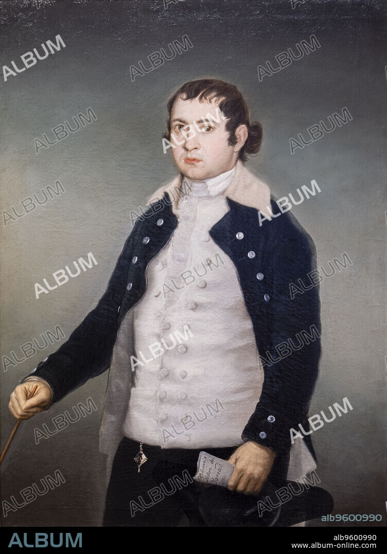 Antonio Adán de Yarza, Francisco de Goya, 1787-88, oil on canvas, Museo de Bellas Artes, Bilbao, Spain.