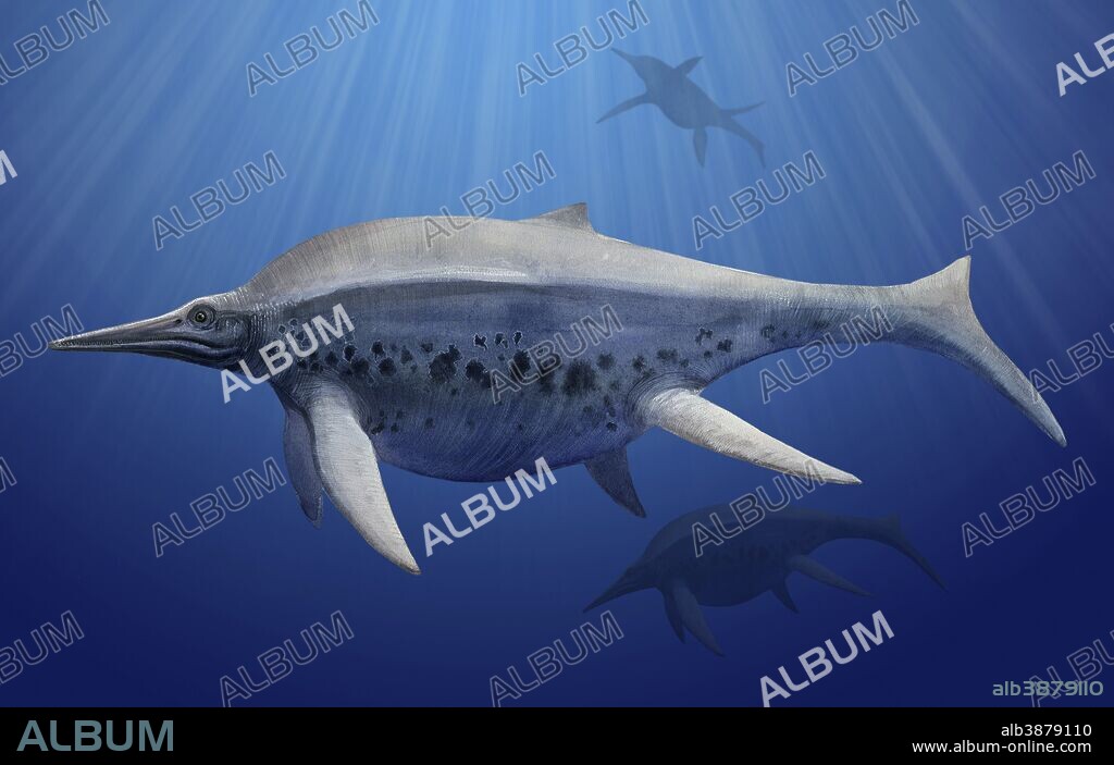 Shonisaurus popularis swimming in prehistoric waters.