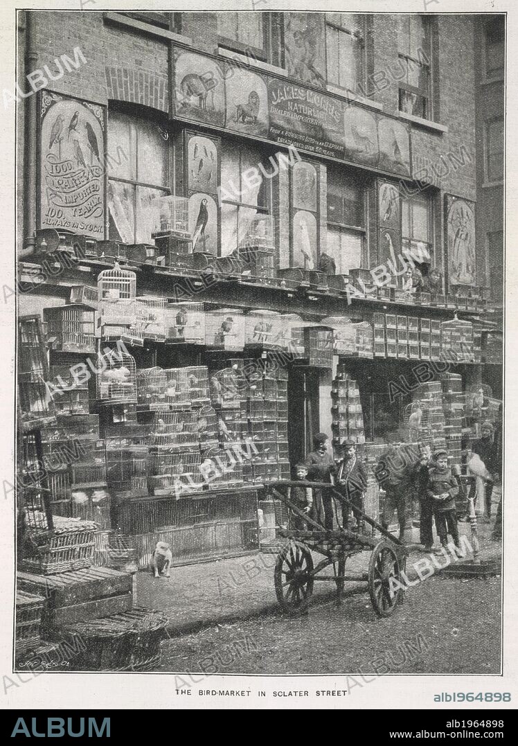Photo of Bird Market in Sclater Street. New Budget 1st July 1895. Source: New Budget 1st July 1895 page 31 (detail).