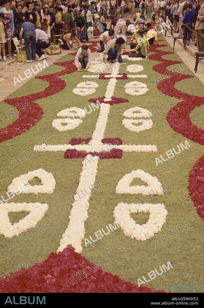 AUTOR LIBRE 01307. ALFOMBRA DE FLORES PARA EL DIA DEL CORPUS - FOTO AÑOS 70.