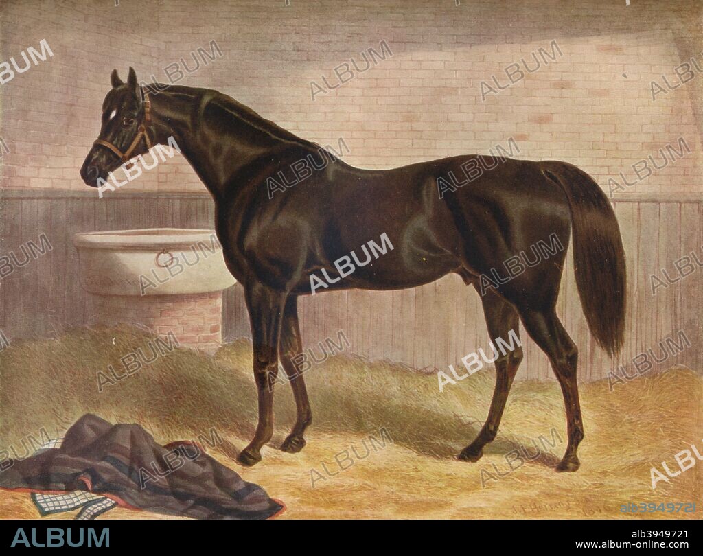 'Gladiator', 19th century. Gladiator (Gladiateur) (1862-1876), French thoroughbred racehorse who won the English Triple Crown in 1865. From Connoisseur Extra No. 5 - Old Sporting Prints by Ralph Nevill. [The Connoisseur Magazine, London, 1908].