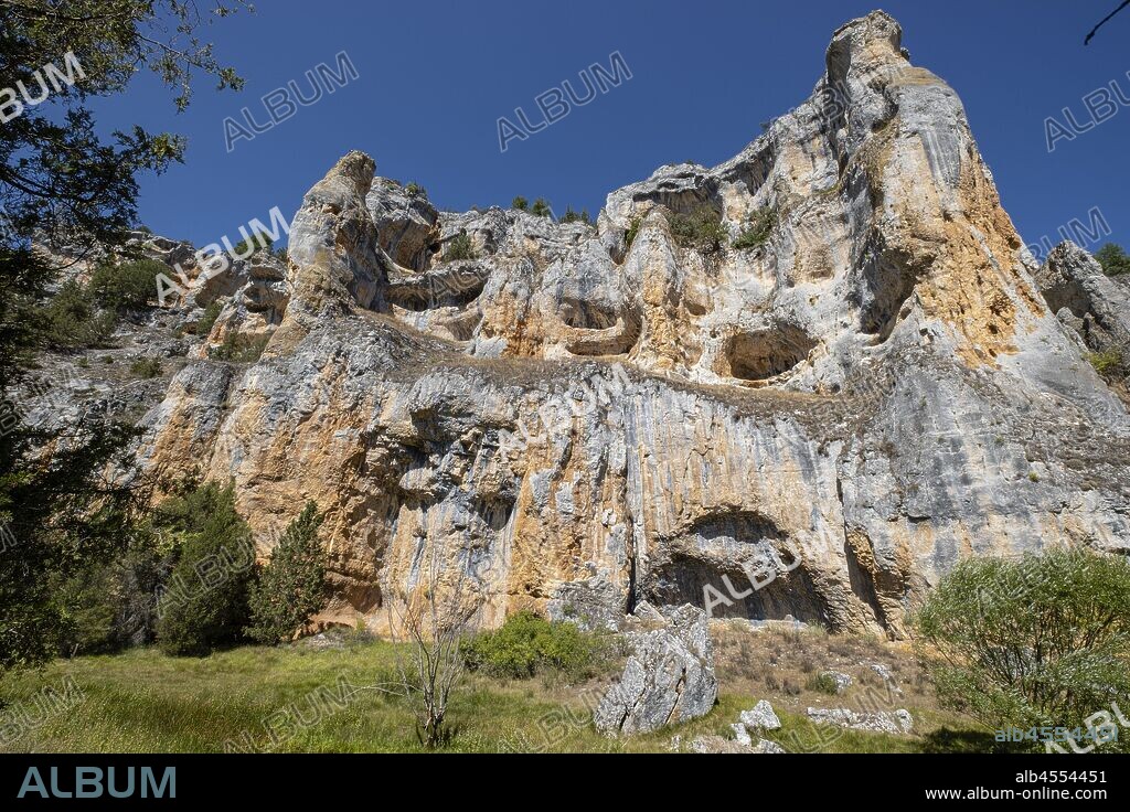 zona de reserva Castillo Billido, Parque Natural del Cañón del Río Lobos, Soria, Comunidad Autónoma de Castilla, Spain, Europe.