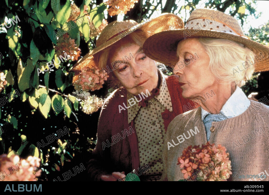 BETTE DAVIS and LILIAN GISH. BETTE DAVIS and LILLIAN GISH in THE WHALES OF AUGUST, 1987, directed by LINDSAY ANDERSON. Copyright ALIVE FILMS.
