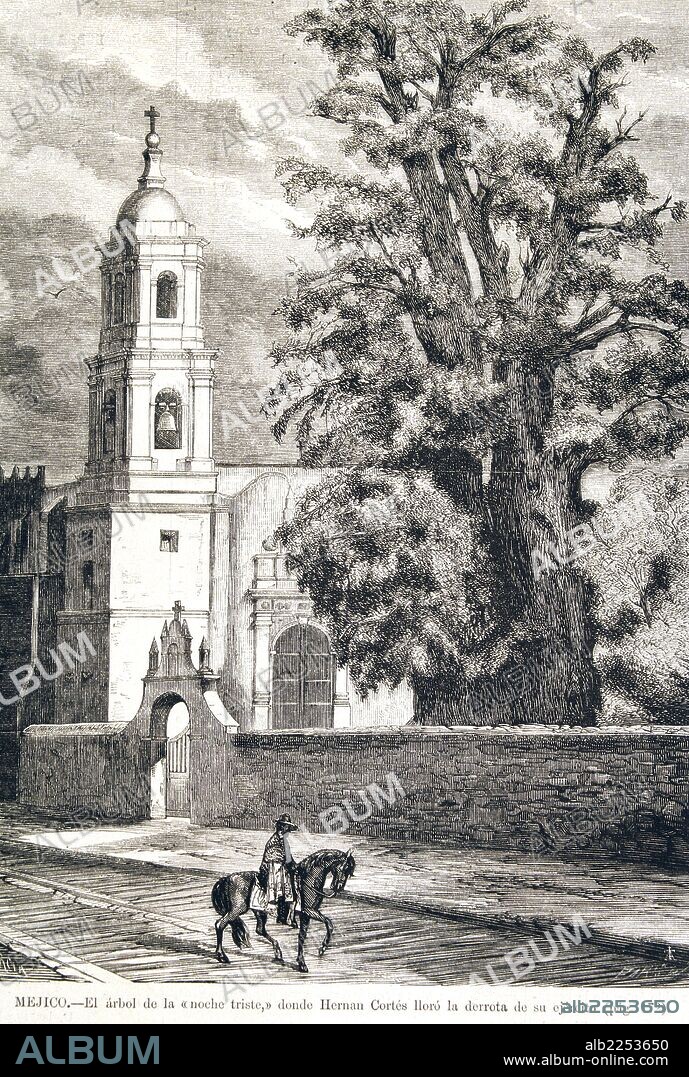 HERNAN CORTES. CONQUISTADOR ESPAÑOL. MEDELLIN 1485 - 1547. EL ARBOL DE LA NOCHE TRISTE EN MEXICO. GRABADO DE LA ILUSTRACION ESPAÑOLA Y AMERICANA.