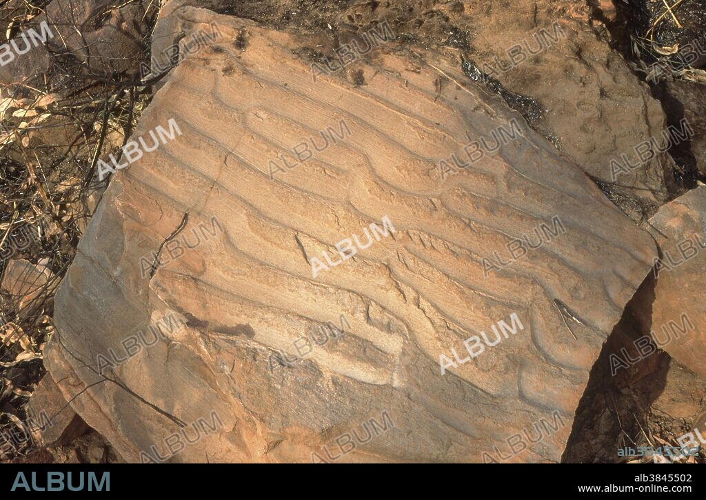 Fixed in time, the waves of a shallow sea which rippled its sandy bed at the dawn of life, perhaps one and a half millennia ago, are now seen again in ripple stones among shattered Precambrian rocks of Lawn Hill Gorge, northwest Queensland, Australia. The red sandstones are of extreme antiquity, having been laid down in a seabed about 1,560 million years ago in the Proterozoic Eon, before the evolution of life beyond bacteria and stromatolites.