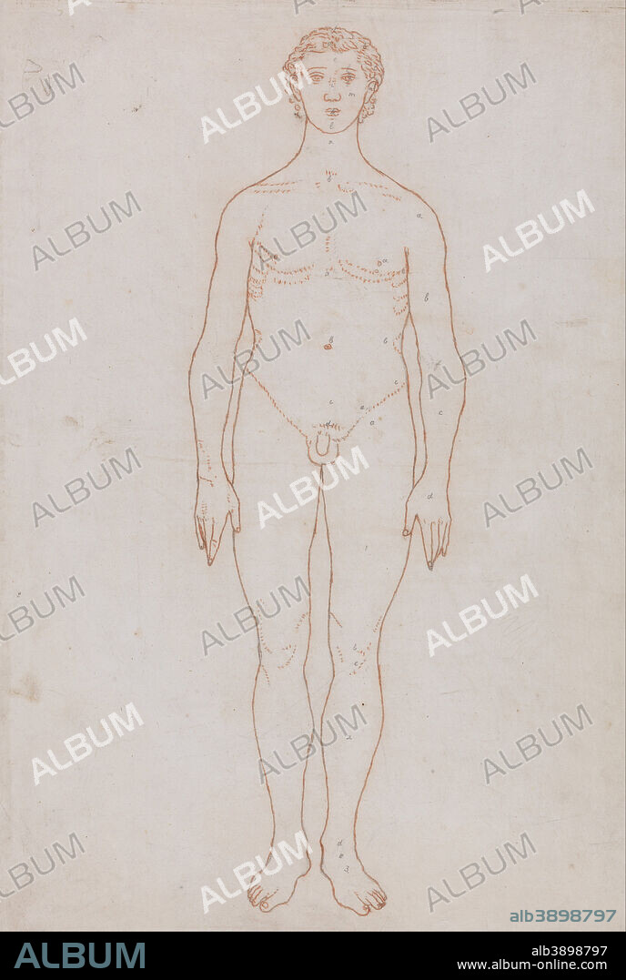GEORGE STUBBS. A Comparative Anatomical Exposition of the Structure of the Human Body with That of a Tiger and a Common Fowl: Study of the Human Figure, Anterior View (Outline Drawing for Table VI). Date/Period: 1795 to 1806. Drawing. Graphite and red chalk; verso: graphite on cream, thin, smooth, wove paper. Height: 518 mm (20.39 in); Width: 343 mm (13.50 in).