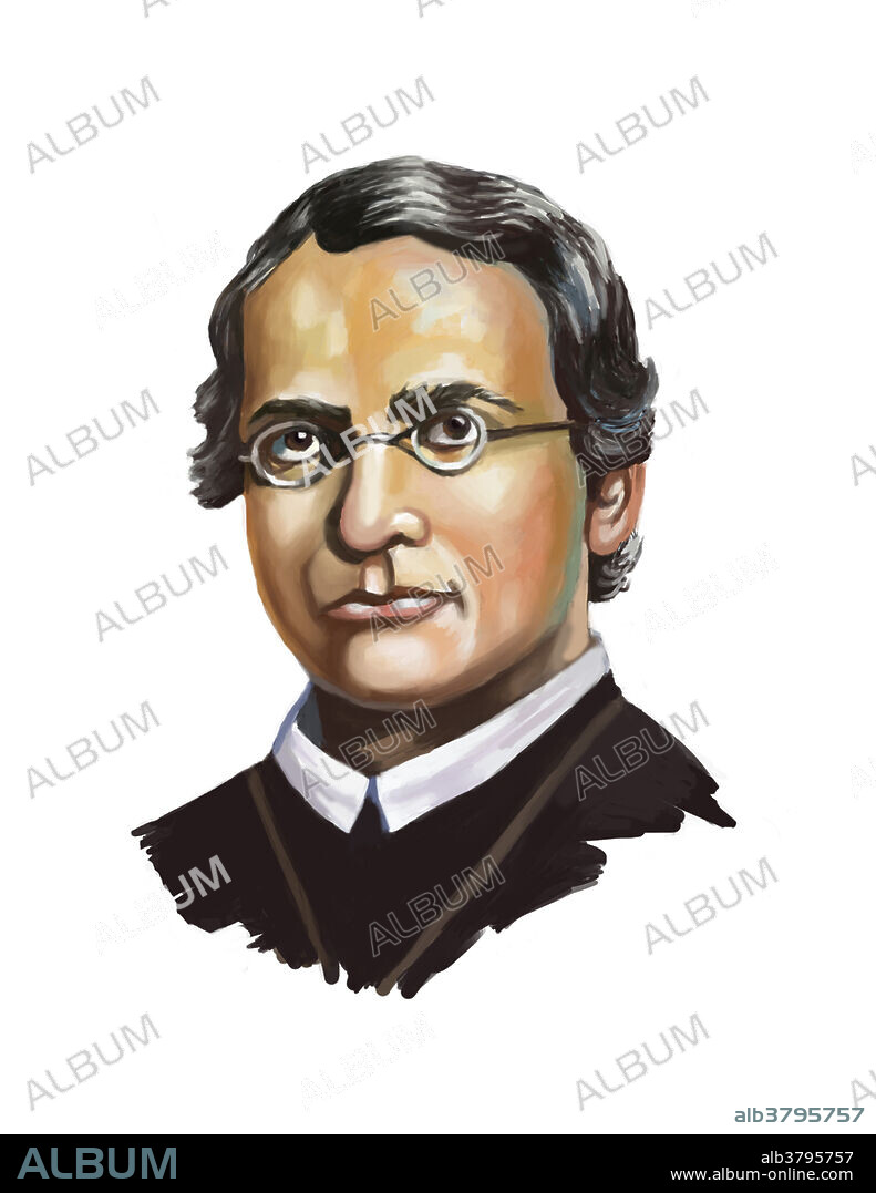 Illustration of Gregor Johann Mendel (1822-1884), Austrian botanist and founder of genetics. Mendel, carried out breeding experiments with pea plants which revealed the statistical laws of heredity. Mendel had demonstrated that the inheritance of certain traits in pea plants follows particular patterns, now referred to as the laws of Mendelian inheritance. Although the significance of Mendel's work was not recognized until the turn of the 20th century, the independent rediscovery of these laws formed the foundation of the modern science of genetics.