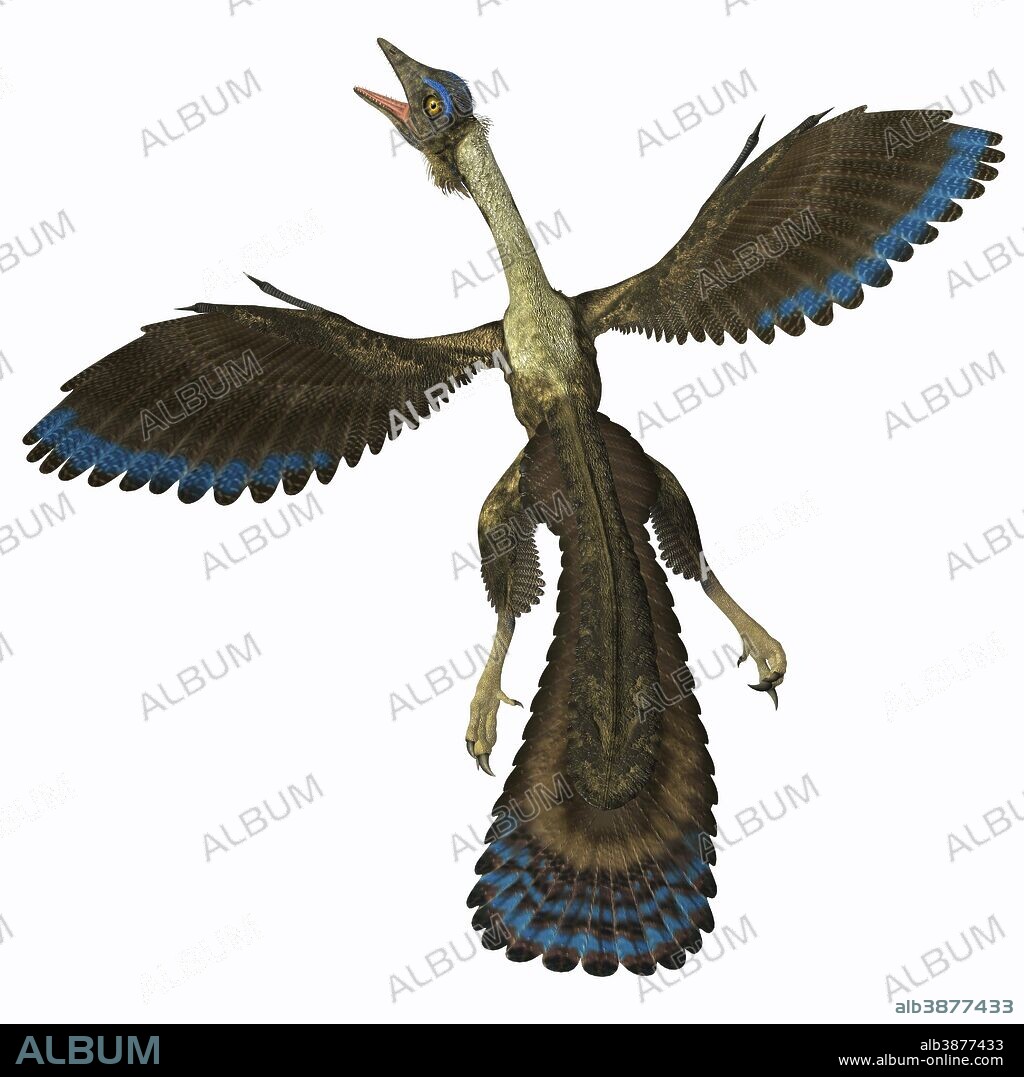 Prehistoric Beast of the Week: Archaeopteryx: Beast of the Week