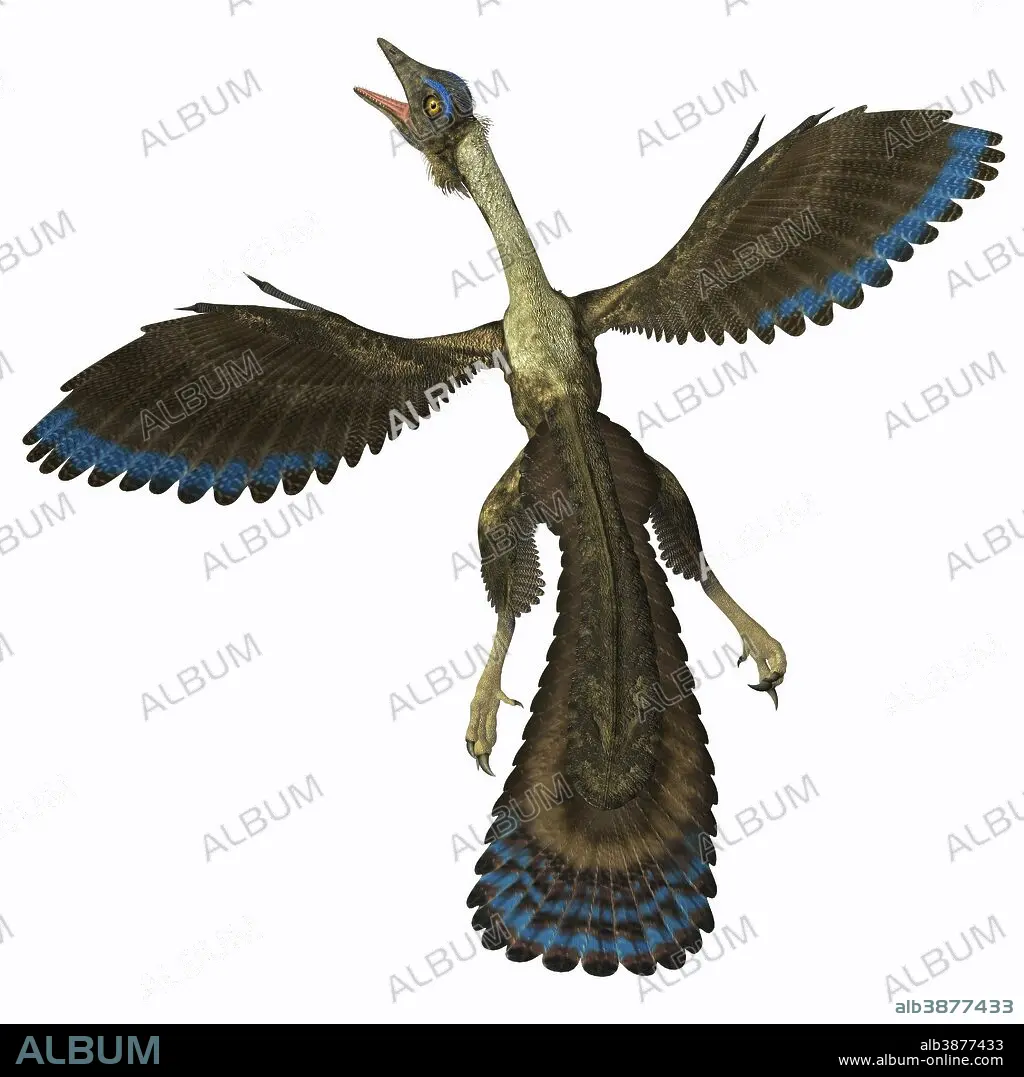archaeopteryx Archaeopteryx | The Guardian