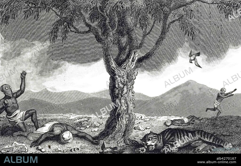 An engraving depicting a Upas tree (Antiaris toxicaria): the latex was used for making poisoned arrows. It was also believed that it was fatal for a creature to perch on the tree or to sit beneath it. Dated 19th century.