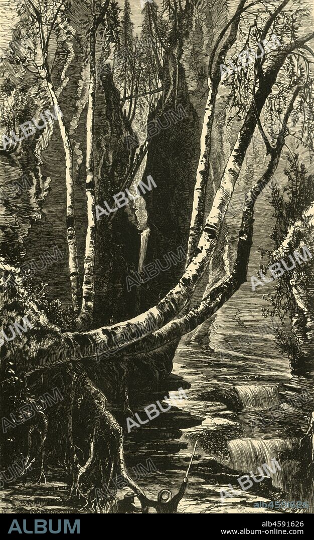 J. G. SMITHWICK. 'Cavern Cascade, below Mountain House', 1872. View of the Glen Creek falls which run through the gorge at Watkins Glen, New York State, USA. The Watkins Glen State Reservation was opened to the public in 1863 and was privately run as a tourist resort - visitors can be seen climbing steep steps in the gorge. From "Picturesque America; or, The Land We Live In, A Delineation by Pen and Pencil of the Mountains, Rivers, Lakes...with Illustrations on Steel and Wood by Eminent American Artists" Vol. I, edited by William Cullen Bryant. [D. Appleton and Company, New York, 1872].