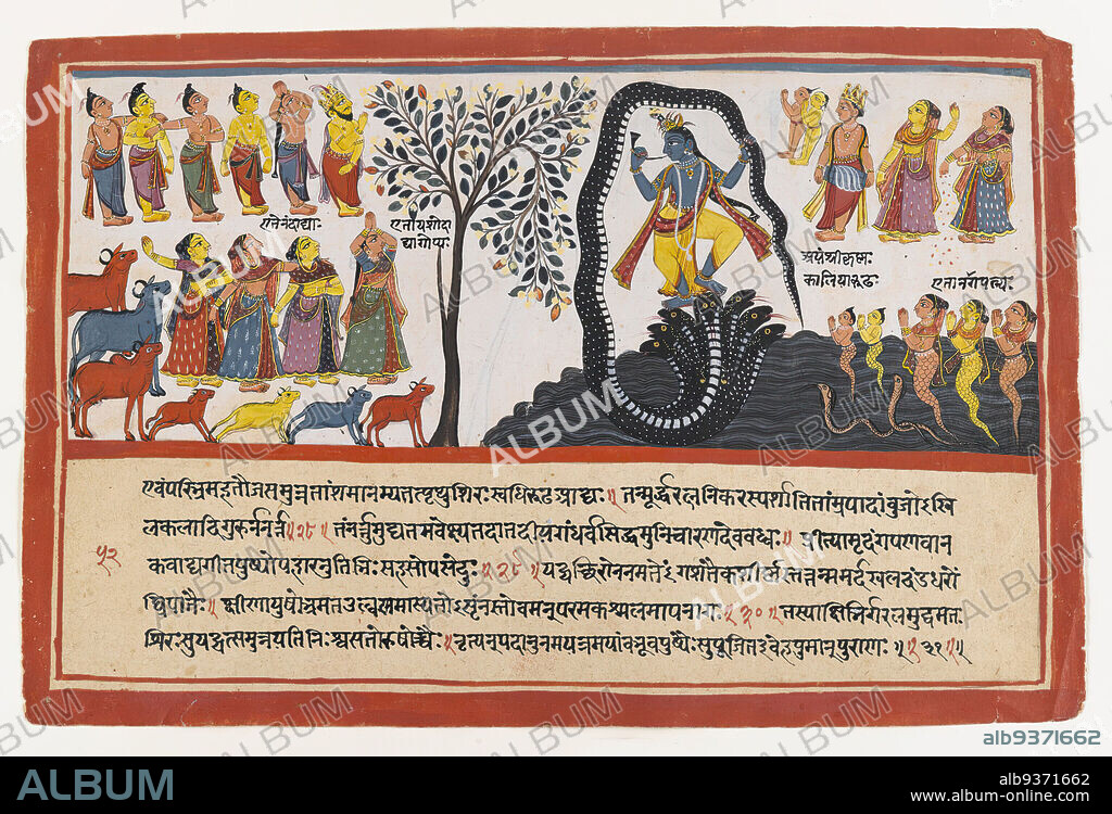 Krishna Conquers the Serpent Kaliya, Page from a Dispersed Bhagavata Purana Series, Indian, Opaque watercolor and gold on paper, Odisha, Orissa, India, ca. 1775, sheet: 9 3/4 x 14 5/8 in., 24.8 x 37.1 cm, Bhagavata Purana, Cows, Dancing, Gold, Gopis, Herd, Horn, Kaliya, Krishna, Nagas, Nanda, Orissa, Paper, Serpent, Snake, Watercolor, Yashoda.