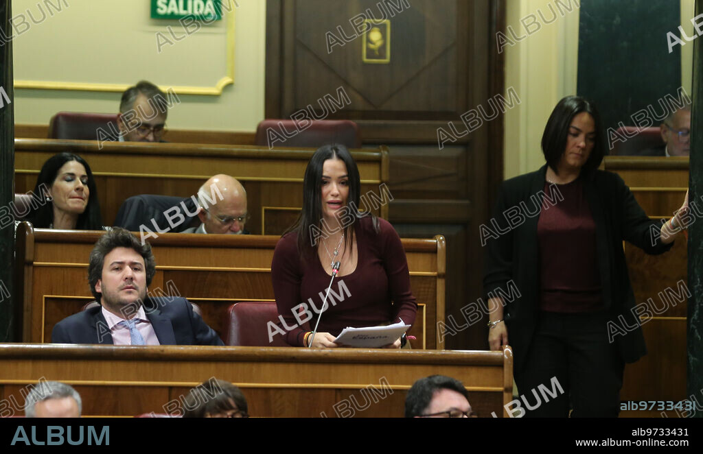 Madrid, 19/02/2020. Congreso de los Diputados. Sesión de control al Gobierno. En la imagen, la diputada de Vox Mireia Borrás. Foto: Jaime García. ARCHDC.