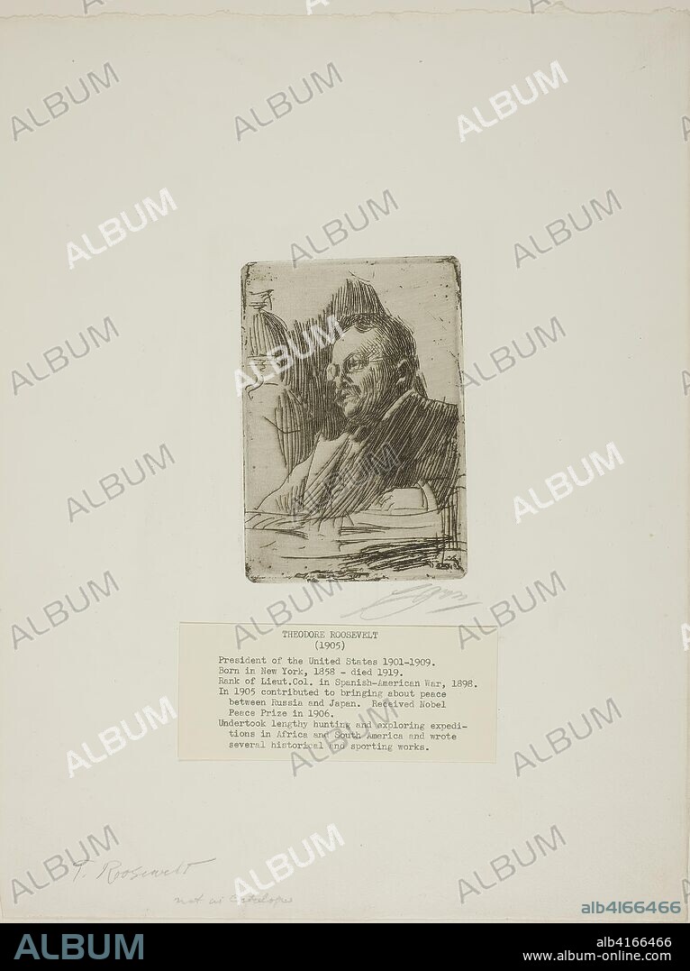 Theodore Roosevelt. Anders Zorn; Swedish, 1860-1920. Date: 1904-1905. Dimensions: 128 x 88 mm (image/plate); 361 x 278 mm (sheet). Etching on ivory laid paper. Origin: Sweden.