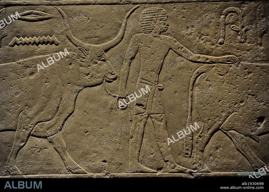 ARTE EGIPCIO. EGIPTO. Tumba de KA-EM-REHU. Relieves con escena de oferente. Necrópolis de Sakkara. 2300 a. C. Imperio Antiguo. Museo Carlsberg Glyptotek. Copenhague. Dinamarca. Norte Europa.