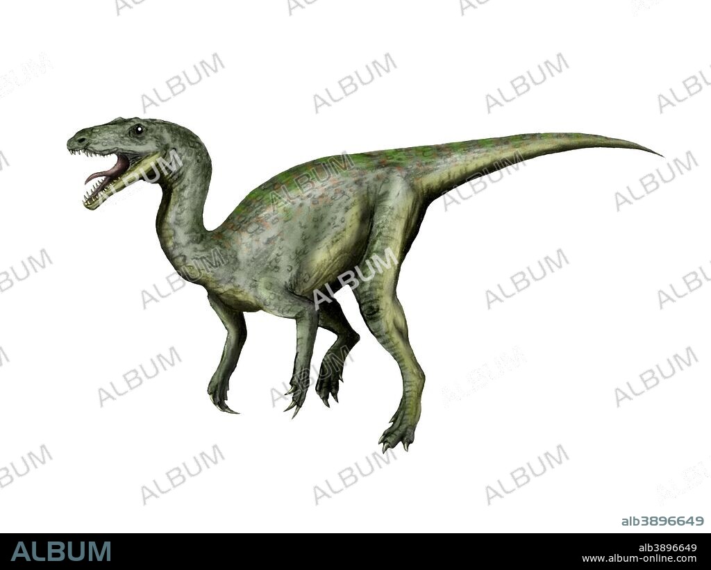 Gojirasaurus dinosaur, white background.