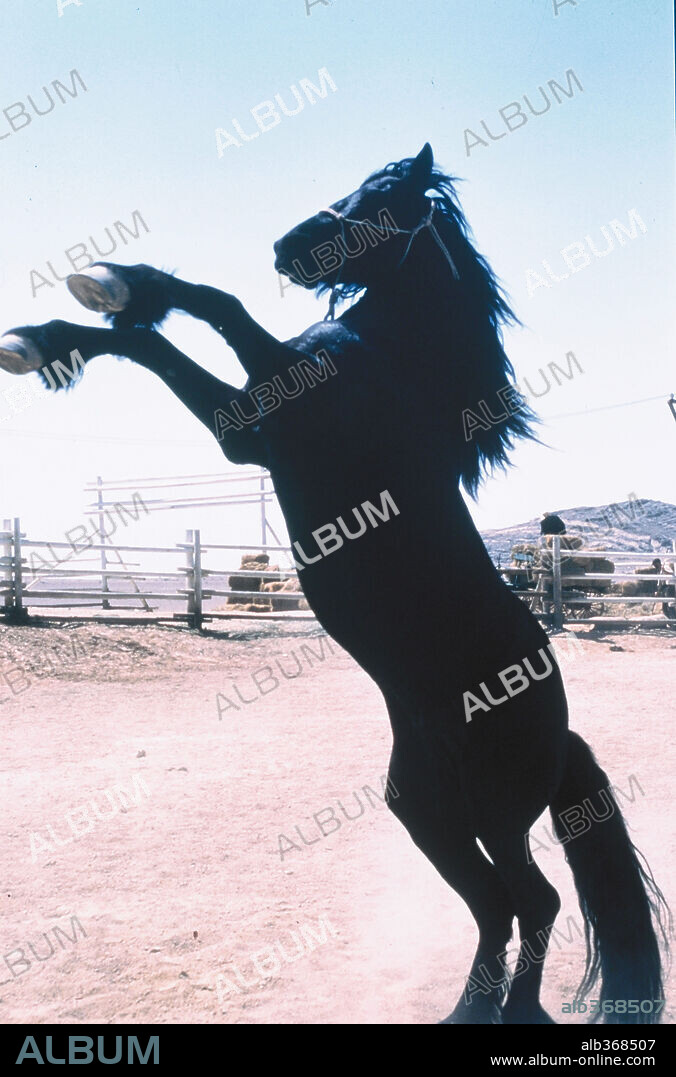 CORRIENDO LIBRE, 1999 (RUNNING FREE), dirigida por SERGIE BODROV. Copyright COLUMBIA PICTURES.