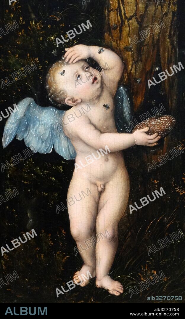 Detail from the painting titled 'Cupid complaining to Venus' by Lucas Cranach the Elder (1472-1553) a German Renaissance painter and printmaker in woodcut and engraving. Dated 16th Century.