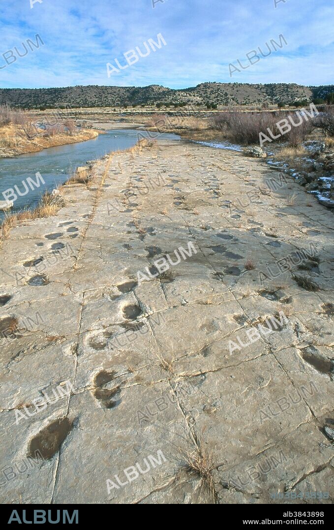 Five parallel brontosaur trackways in the Jurassic Period Morrison Formation in Colorado.