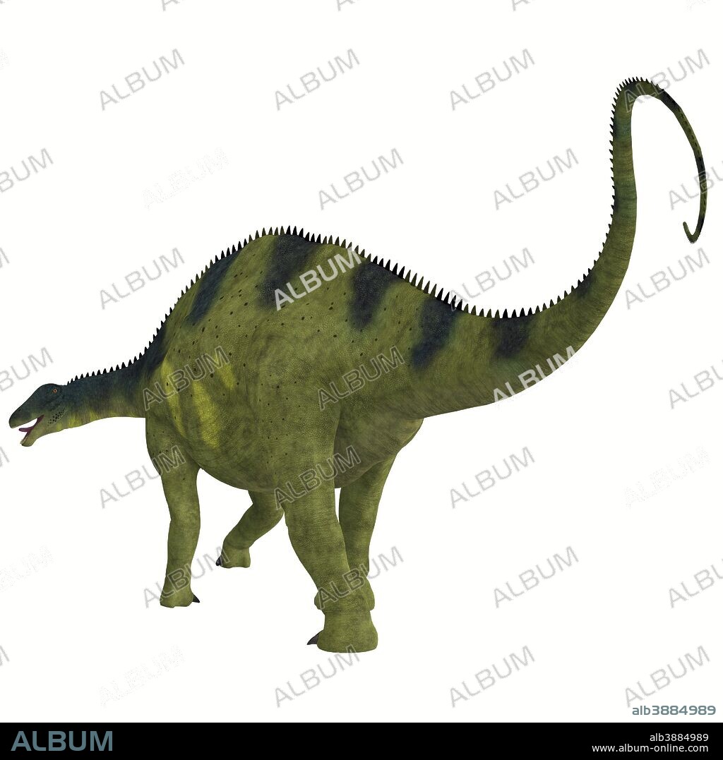 Brachytrachelopan dinosaur, white background. Brachytrachelopan was a herbivorous sauropod that lived in Argentina during the Jurassic Period.