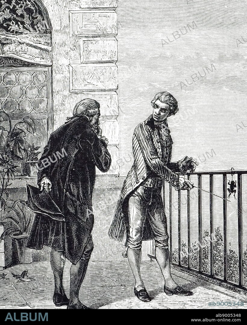 An engraving depicting Luigi Galvani investigating the behaviour of muscles stimulated by electricity. Luigi Galvani (1737-1798) an Italian physician, physicist, biologist and philosopher. Dated 19th century.