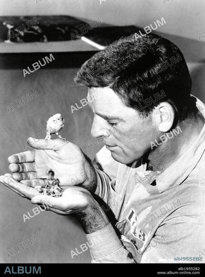 BURT LANCASTER en EL HOMBRE DE ALCATRAZ, 1962 (BIRDMAN OF ALCATRAZ), dirigida por JOHN FRANKENHEIMER. Copyright UNITED ARTISTS.