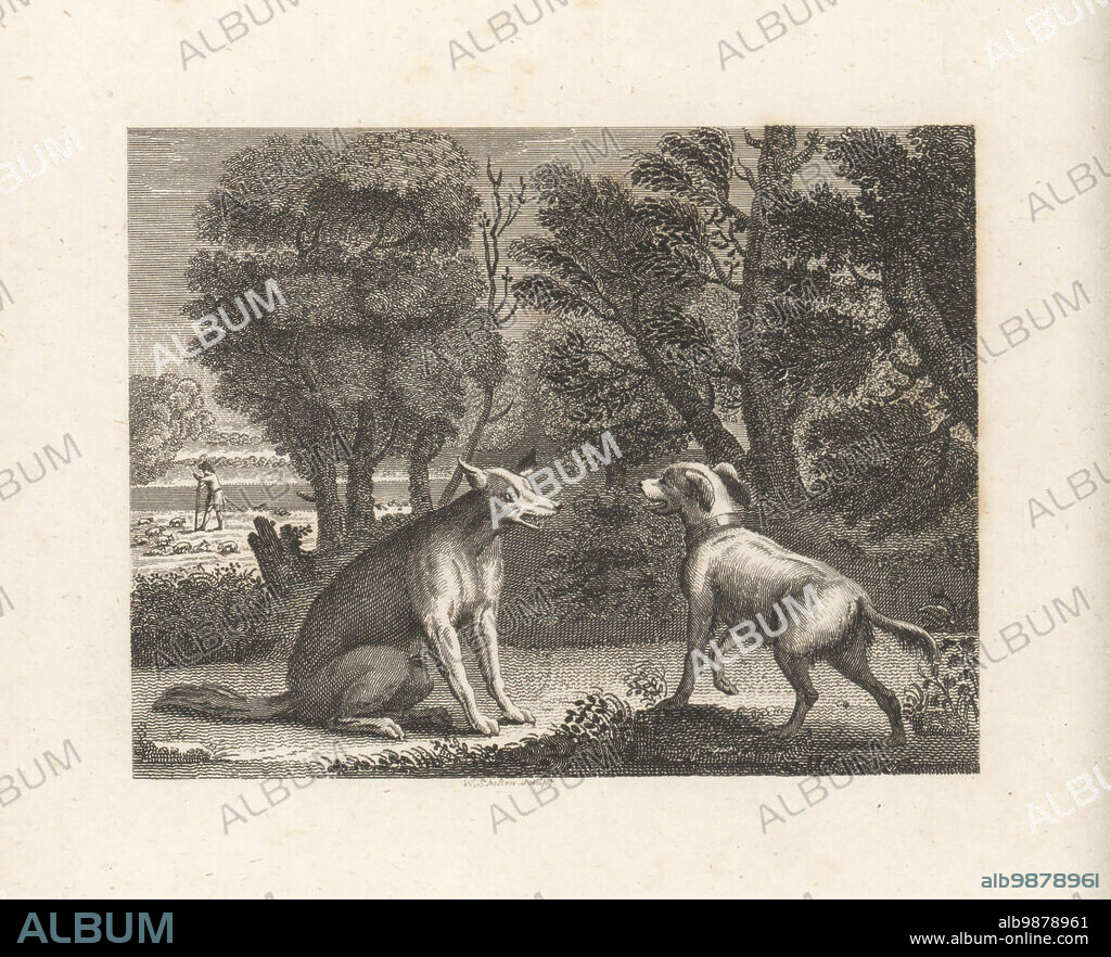 The Shepherd's Dog and the Wolf. In the woods, the sheepdog Lightfoot begs a wolf not to attack his flock. A shepherd watches over his sheep in a pasture. Copperplate engraving by William Skelton after an illustration by John Wootton from Fables by John Gay, with a Life of the Author, John Stockdale, London, 1793.