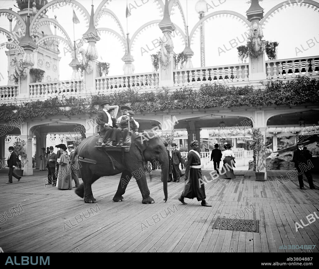 Coney Island, Luna Park Elephant Ride, 1905