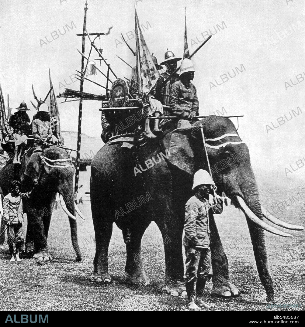 In the 19th century, the Asian Elephant held a prominent position in Siam, although they were hunted regularly north of Ayutthaya and the Lao States (present day, Chiang Mai province and Isan). Not only were elephants used as beasts of burden in agriculture and for hauling timber, but they were active in war leading cavalry charges against the enemy. Elephants were frequently employed in the Siamese-Burmese wars of the Middle Ages. Siam's kings kept elephants, especially prized albino elephants, in elaborate stables. An adult Asian Elephant regularly lives to 90 years of age, grows to 2.5 to 3 meters in height and consumes about 100 kg of hay, fruit and vegetables per day. During the reigns of King Mongkut Rama IV (1851 68) and King Chulalongkorn (1868 1910), the national flag of Siam was a white elephant on a red background.