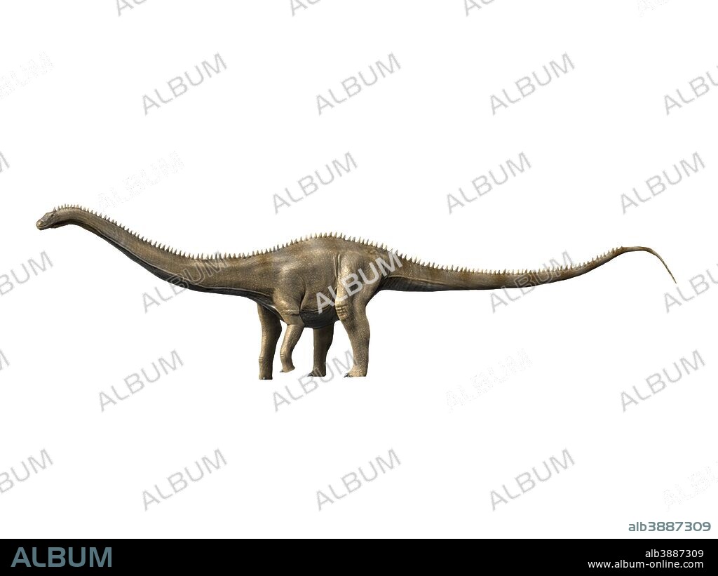 Supersaurus is a sauropod dinosaur from the Late Jurassic period.