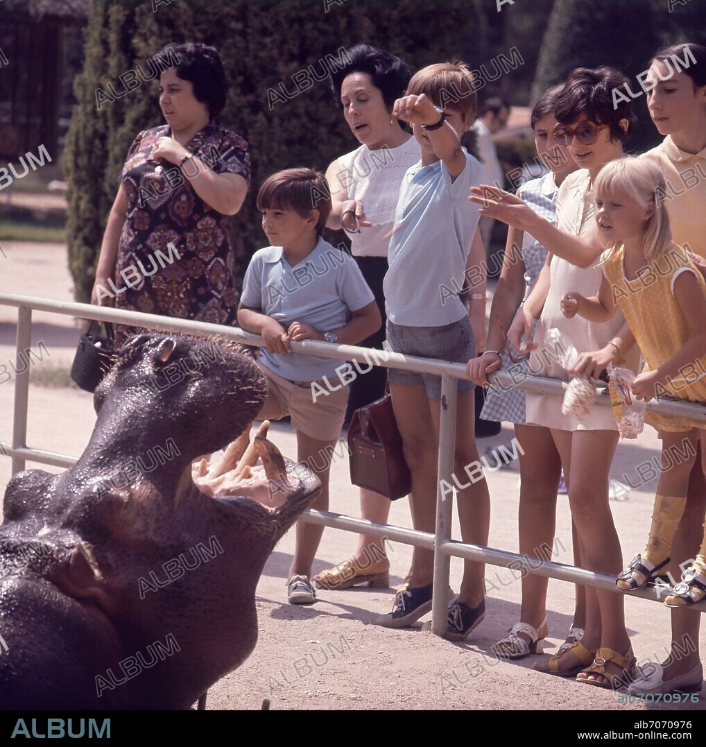 VISITANTES DE ZOO DE EL RETIRO AÑOS 60 SIGLO XX ALIMENTANDO HIPOPOTAMO.