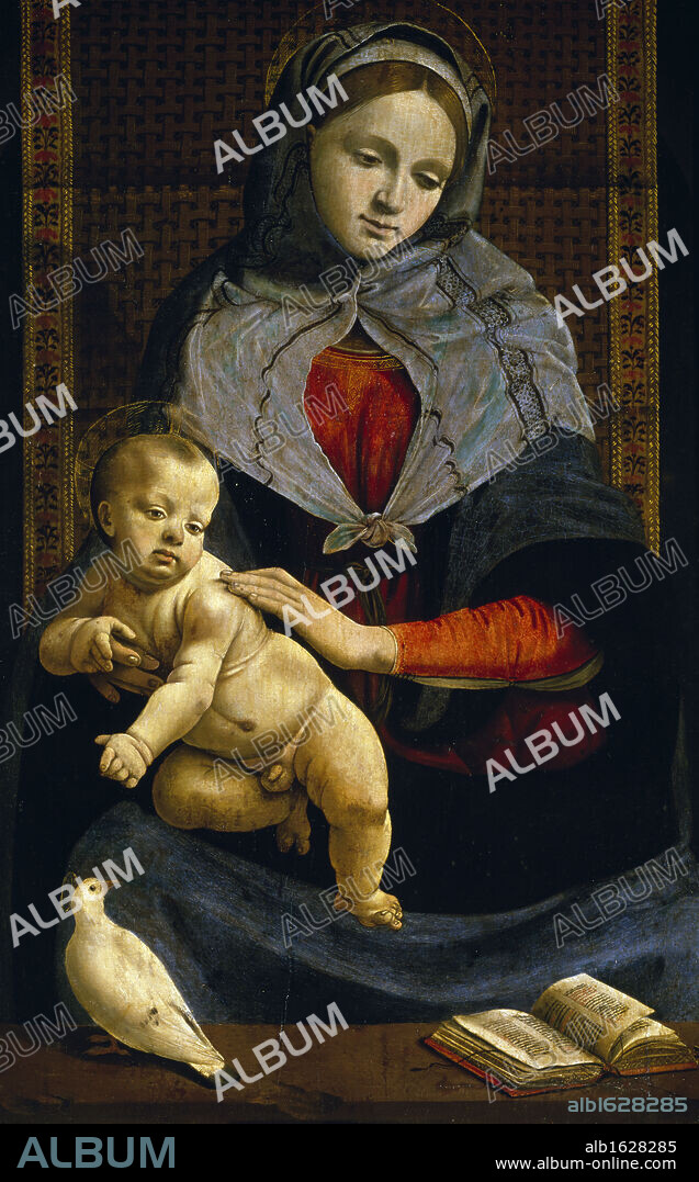 The Virgin and Child with a Dove by Piero di Cosimo,  (Circa 1462-1521),  France,  Paris,  Musee du Louvre.