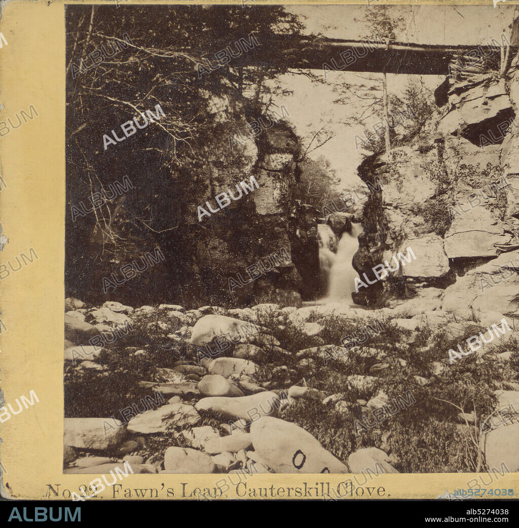 Fawn's Leap, Cauterskill Clove, Catskill Mts. N.Y., Fifield, H. S., Rocks, Waterfalls, Pedestrian bridges, New York (State), Catskill Mountains (N.Y.), Kaaterskill Clove (N.Y.).